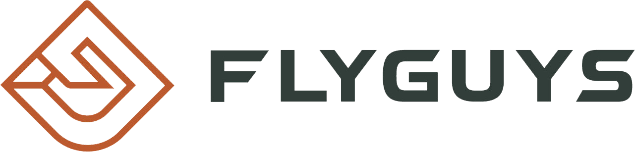 FlyGuys